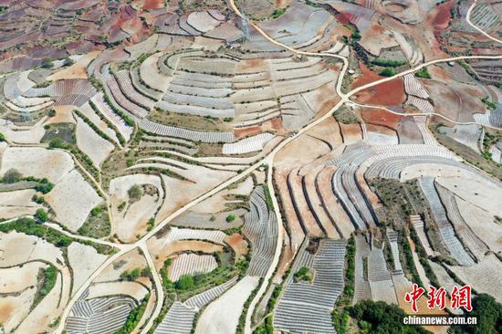 4月13日，航拍威宁自治县迤那镇樱桃村春耕农田。