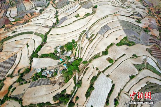 4月13日，航拍威宁自治县迤那镇樱桃村春耕农田。