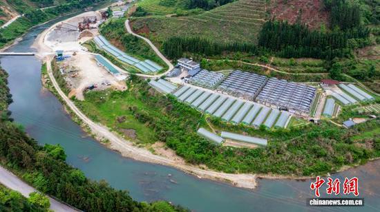 航拍贵州省从江县丙妹镇大塘村辣椒育苗基地。吴德军 摄