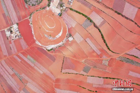 连日来，贵州省毕节市威宁彝族回族苗族自治县广袤的田野间，农户们抢抓农时进行春耕春播，农田纹理有致，犹如大地“指纹”，蔚为壮观。图为4月13日，航拍威宁自治县迤那镇双营村春耕农田。