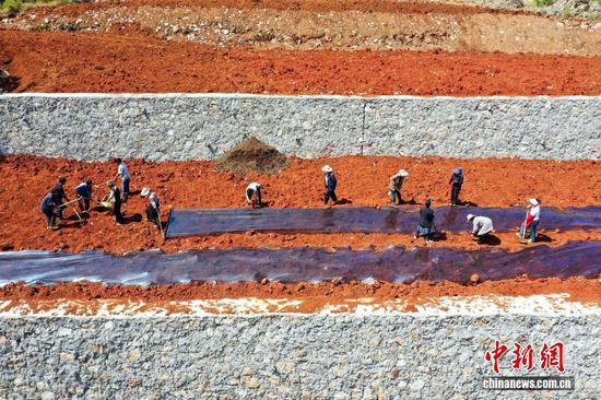 4月13日，威宁自治县迤那镇樱桃村，农户种植玉米。