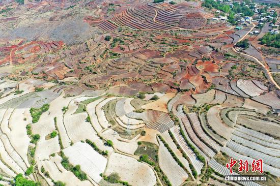4月13日，航拍威宁自治县迤那镇樱桃村春耕农田。