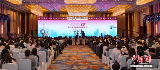 图为大会现场。（主办方供图）