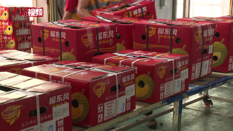 2026年1-5月广西中越铁路进口水果量劲增 东盟鲜果降损输华