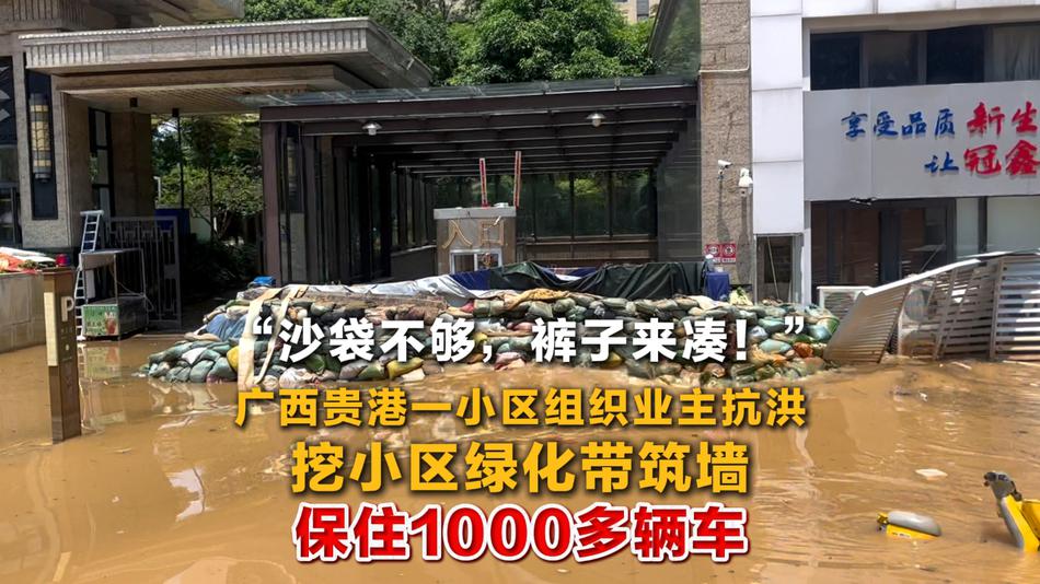 贵港一小区组织业主抗洪 挖小区绿化带筑墙 保住千余辆车