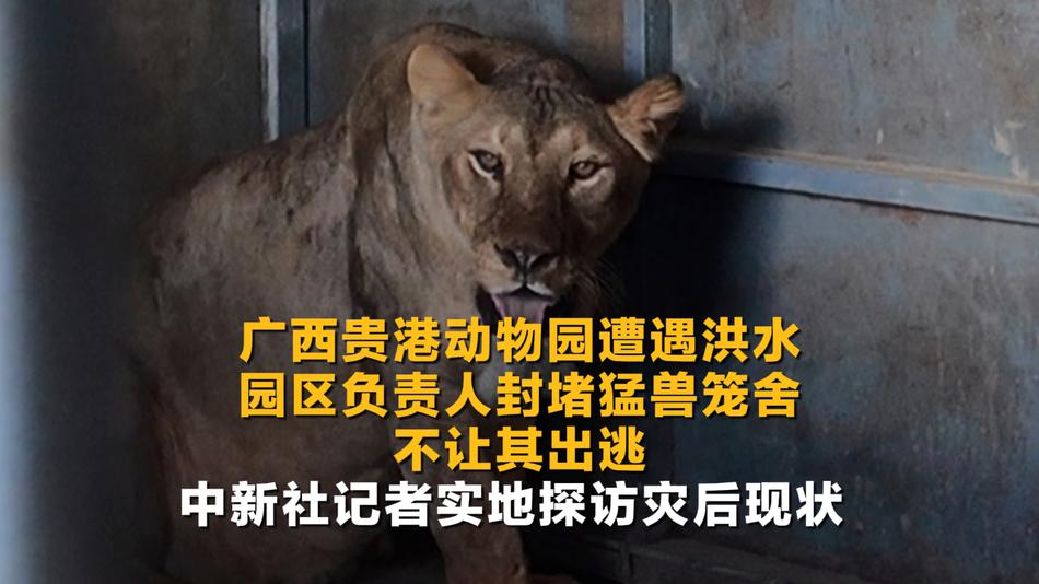 中新社记者实地探访广西贵港动物园灾后现状