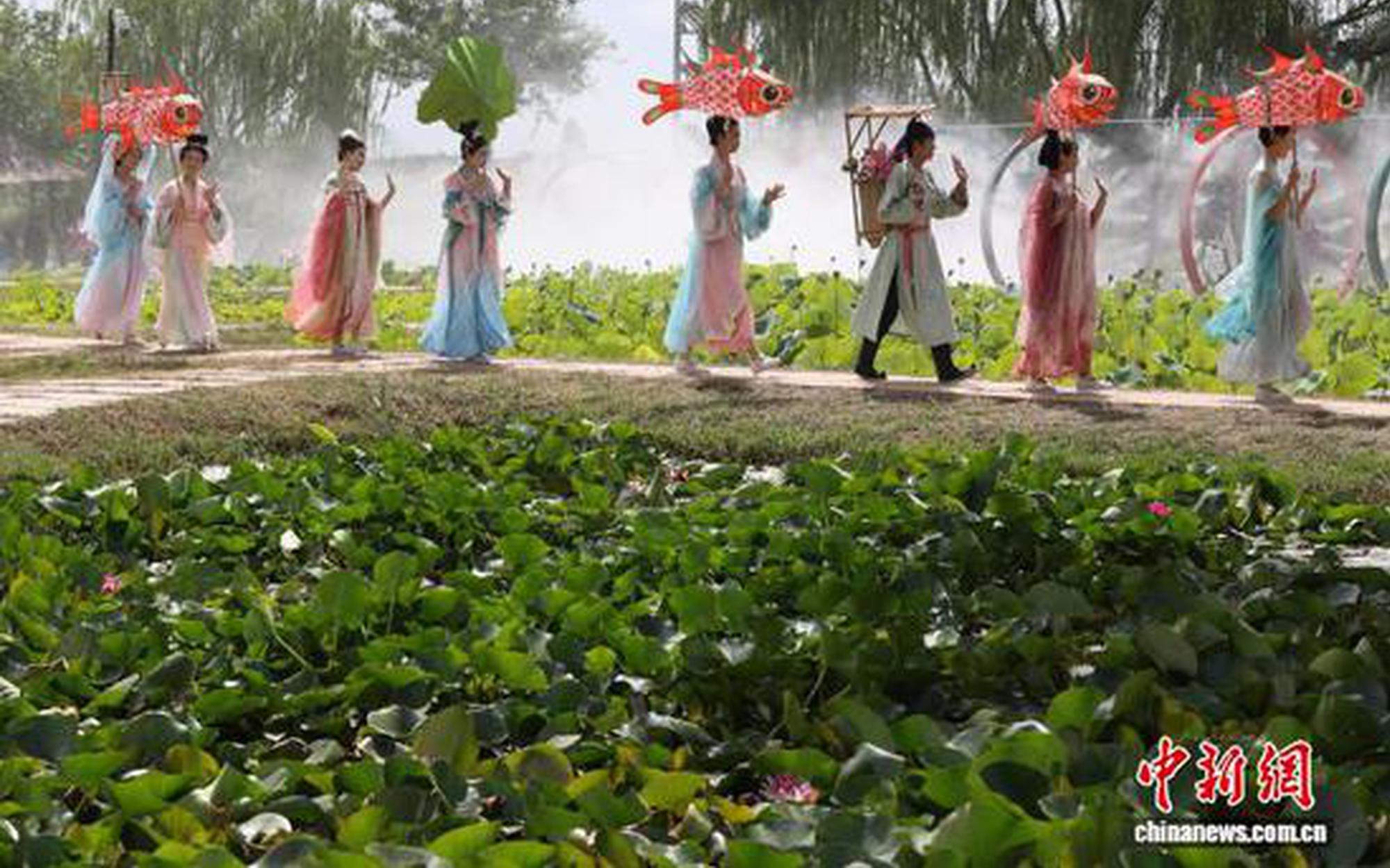 银川鸣翠湖荷花节启幕 助推夏日文旅消费热 