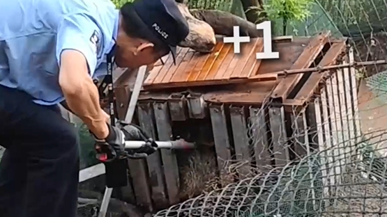 蟒蛇入户狂吃9只鸭子 民警赶到后全部“退赃”