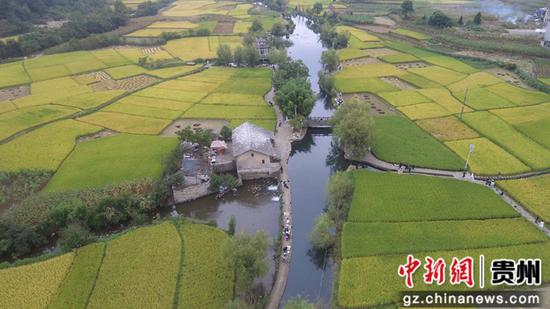 安顺市西秀区大西桥镇鲍家屯。