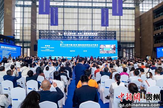 图为活动现场。主办方供图
