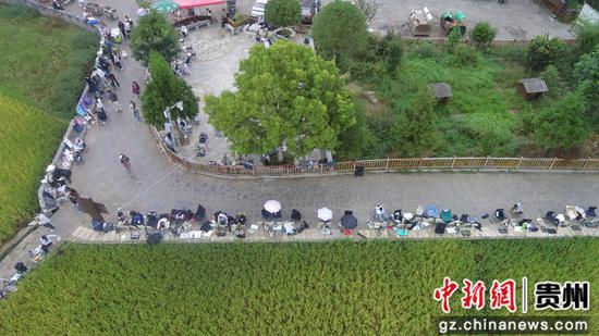 安顺市西秀区大西桥镇鲍家屯。