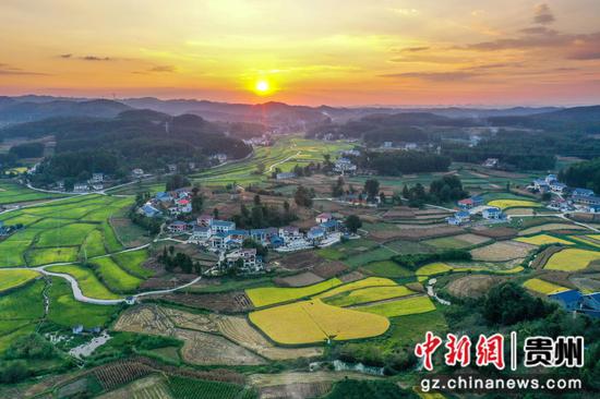 遵义市播州区三岔镇长安村的稻谷成熟了，夕照下的田园景色更加多彩迷人。李仁军  摄