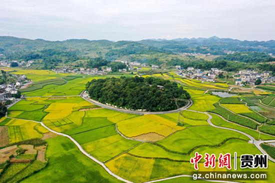 9月6日，贵州省遵义播州区石板镇沐恩寺秋日稻田景色。李仁军 摄