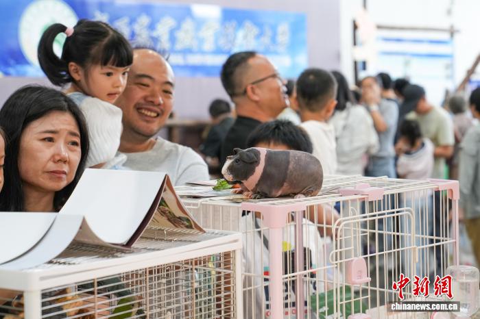 广西农博会萌宠主题馆萌趣不断 “可逛可买可体验”